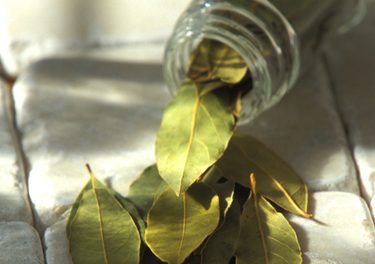 Bottle of spilled bay leaves