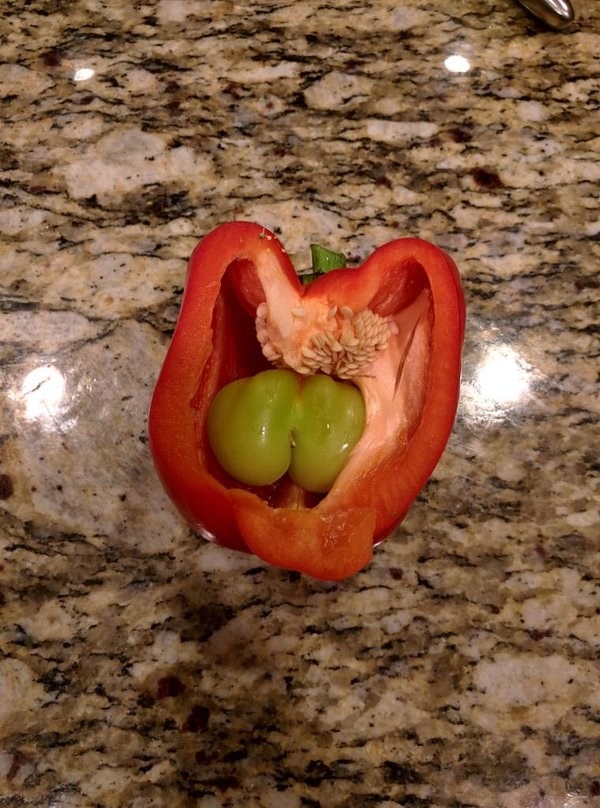The pepper inside a pepper… Pepper-ception