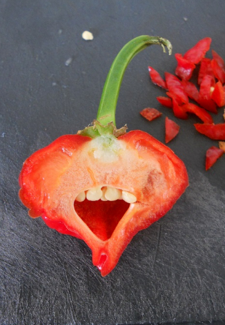 This pepper that’s a liiiiittle too excited